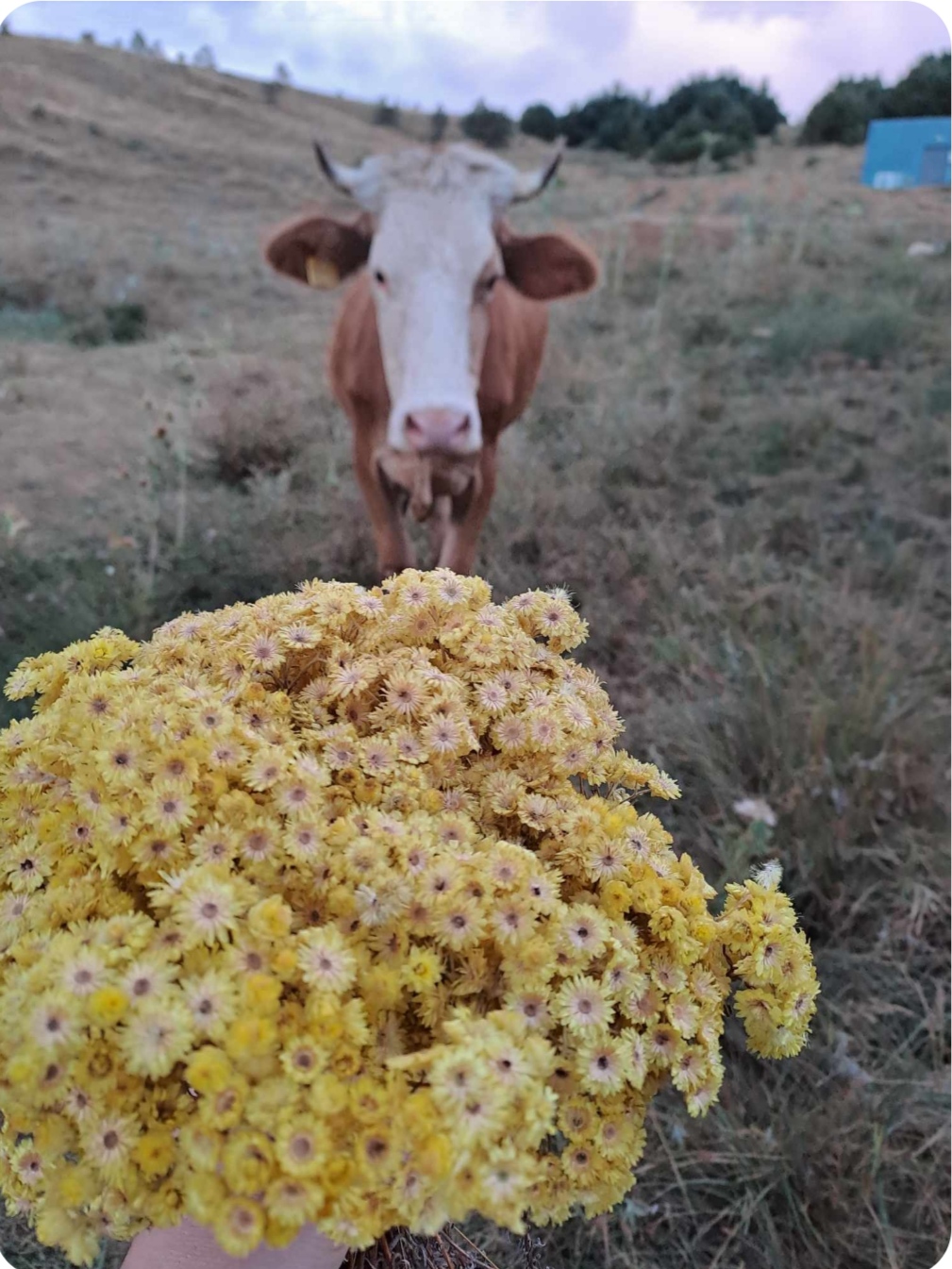 Huzur için değişim!