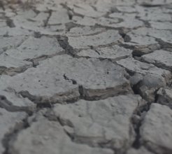 Beklentiler ve Kırgınlıklar