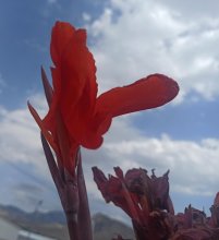 İnsanlık Çerçevesinde Konuşalım!