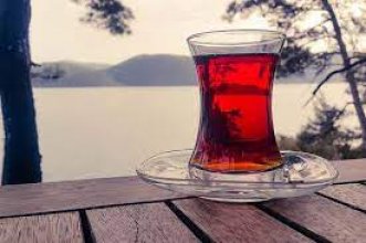 Edebiyatın Kaçakçıları 